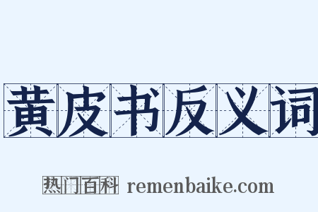 黄皮书反义词是什么意思的图片